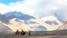 02 Nights Leh + 02 Night Nubra +01  Night Pangong + 02 Nights Leh  @ Rs. 44999/-
