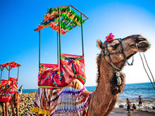 Gujarat 6 Nights @ Rs. 25,900