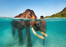 THE 3 ISLAND TRIP (Port Blair 4N + Havelock 1N + Neil Island 1N)