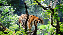 KERALA 06 DAYS 05 NIGHTS GROUP PACKAGES (PER PERSON