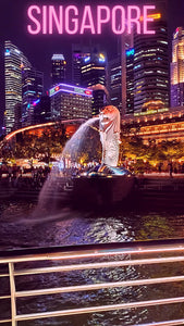 Singapore UNBELIEVABLE PRICE PROMO OFFER 3 NIGHTS PACKAGE