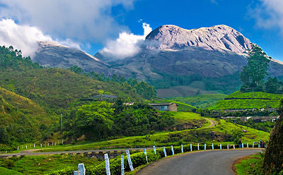 KERALA 4 nights / 5 Days //@18499