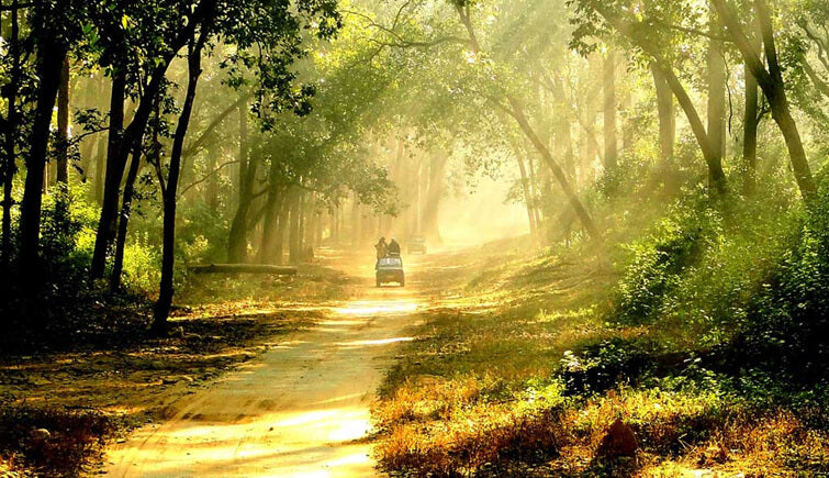 Delhi-Rishikesh (01N)-Auli(02N)-Mussoorie(02N)-Haridwar(01N)-Delhi (6 Nights &7 Days)