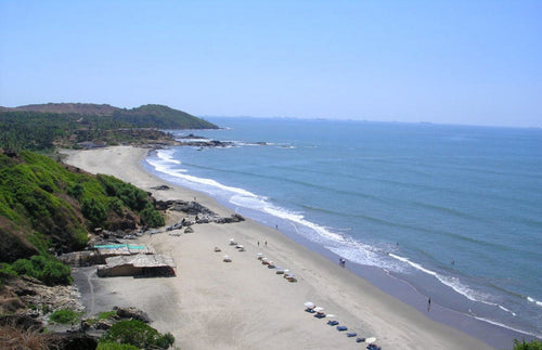 Magnum Resort