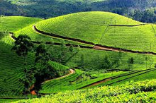 KERALA 06 DAYS 05 NIGHTS GROUP PACKAGES (PER PERSON